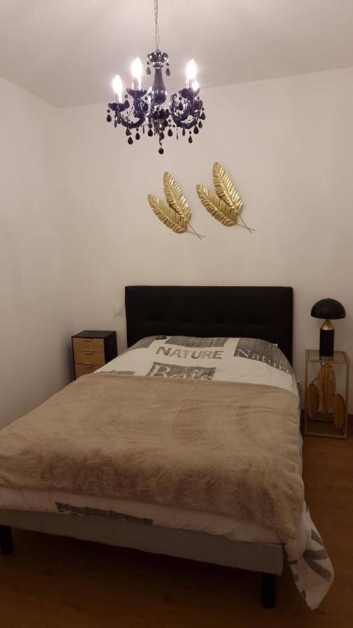 Appartement Cosy Centre Ville Roanne Exteriör bild