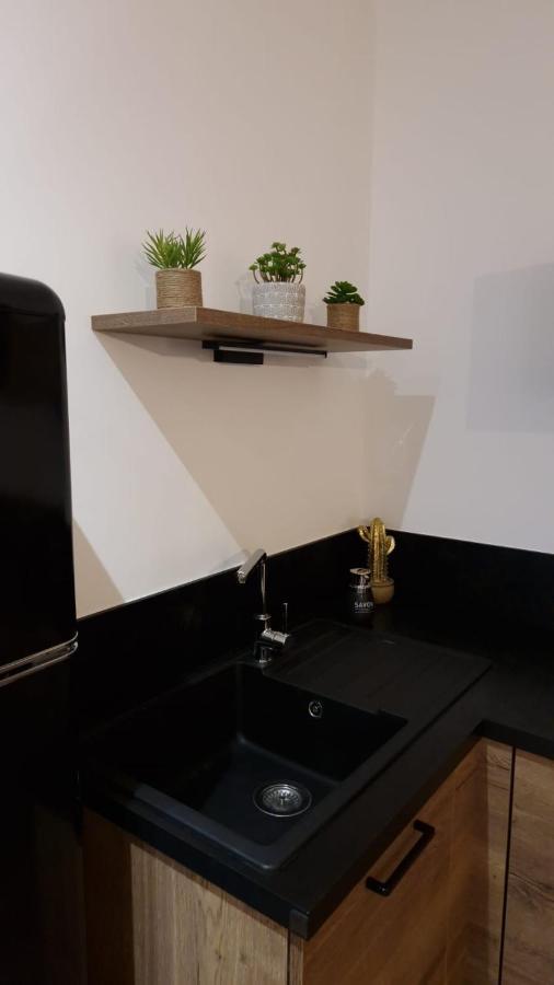 Appartement Cosy Centre Ville Roanne Exteriör bild